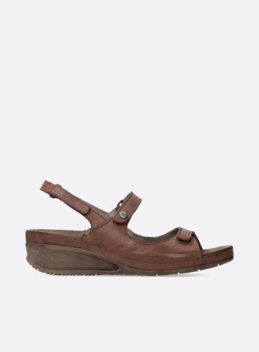 Vogueunion.shop429681c79c 1