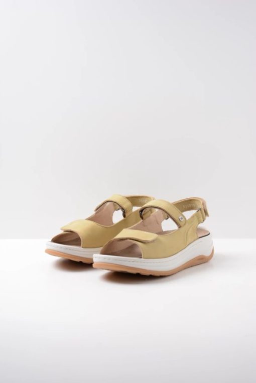 Vogueunion.shop5321c8c19d 2