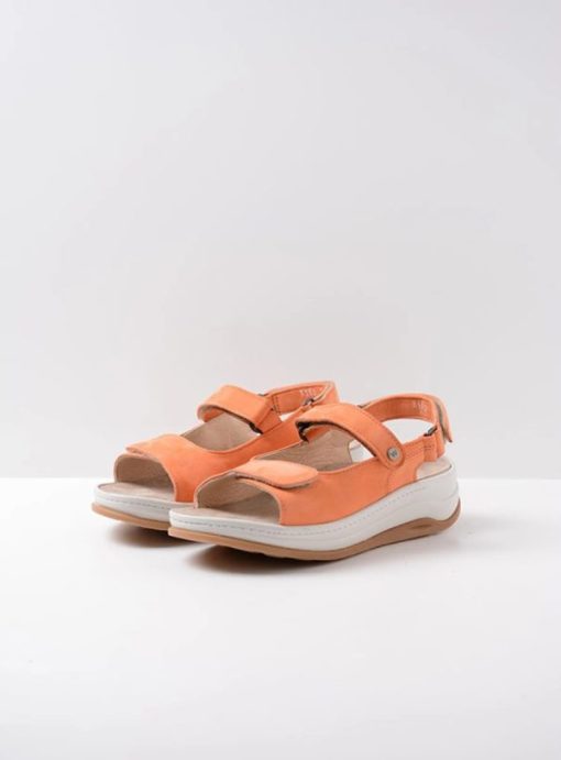 Vogueunion.shop7e171a6685 2