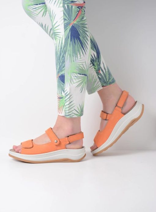 Vogueunion.shop7e171a6685 7