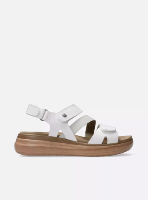 Vogueunion.shop8b8db59fd2 1