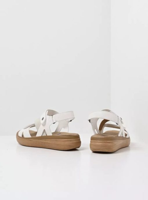 Vogueunion.shop8b8db59fd2 3