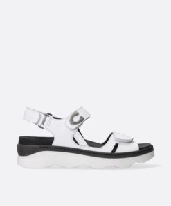 Vogueunion.shop8d1f02efcc 1