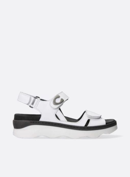 Vogueunion.shop8d1f02efcc 1