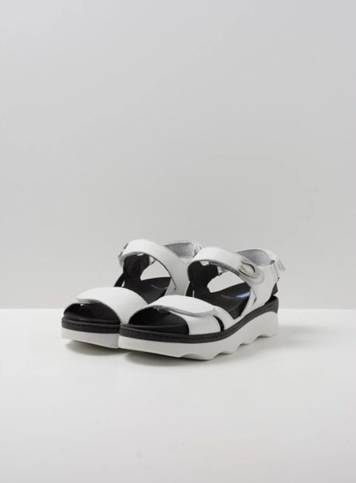 Vogueunion.shop8d1f02efcc 2