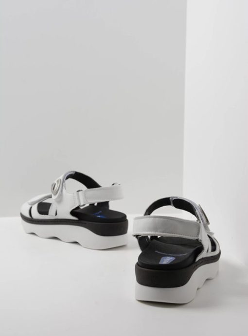 Vogueunion.shop8d1f02efcc 3