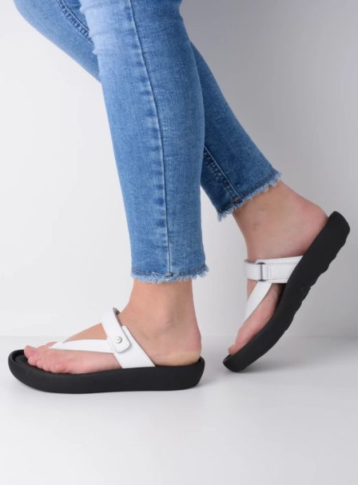 Vogueunion.shop8fc8ee2721 6