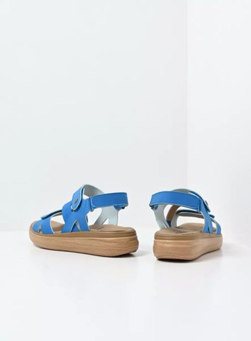 Vogueunion.shop9df273853d 3