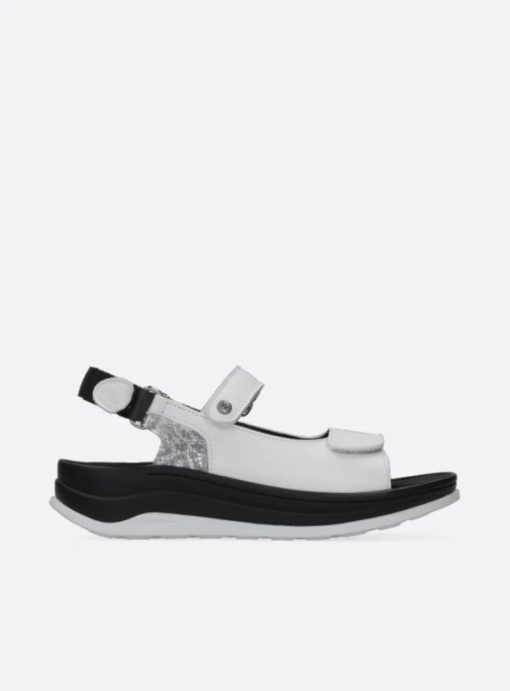 Vogueunion.shopae319284a8 1