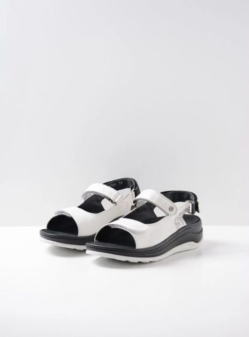 Vogueunion.shopae319284a8 2