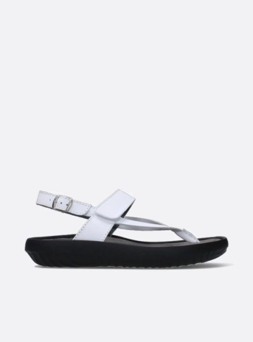 Vogueunion.shopbd4b08be71 1