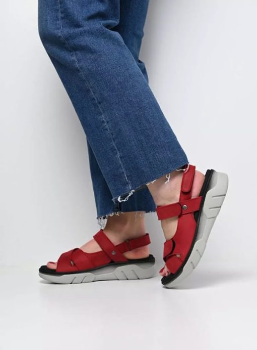 Vogueunion.shopbdc004b1ac 7