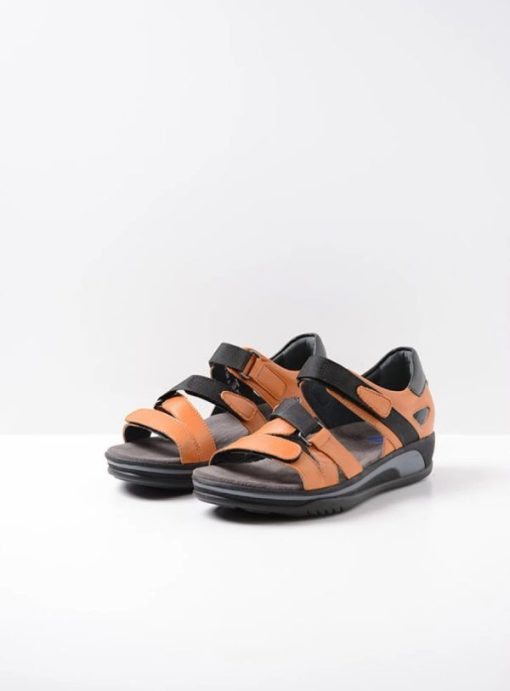 Vogueunion.shopd3e08a922d 2