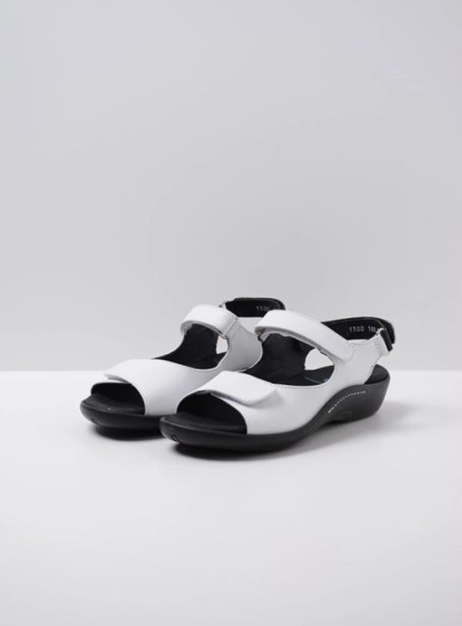 Vogueunion.shopd75f5ea2ab 2